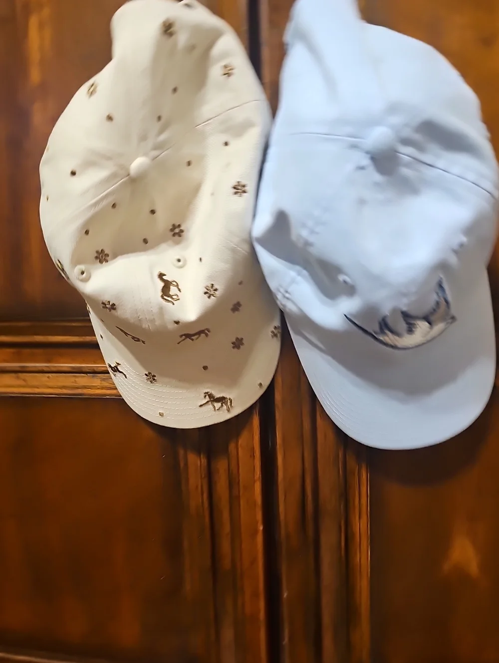 CAbi Spring'26: Set Of 2 Ballcaps  Cream W/ Horses & Light Blue Bird Caps! NWOT